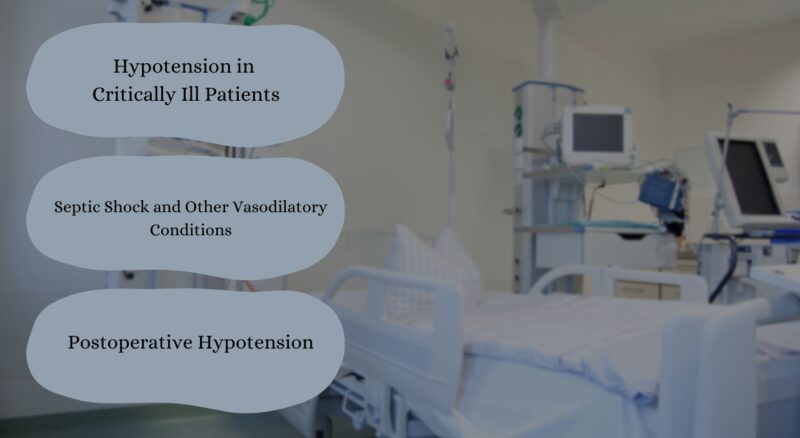 Clinical Uses of Midodrine in the ICU